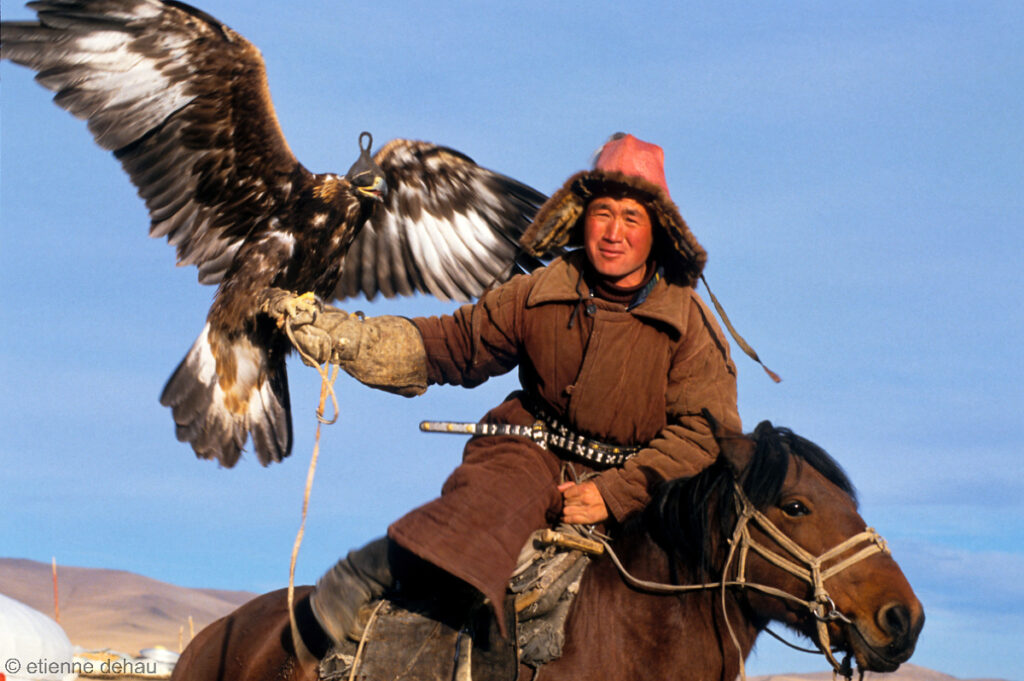 les nomades kazakh de l'Ouest de la Mongolie utilisent des aigles pour chasser des renards, des lièvres, et parfois même des loups.
