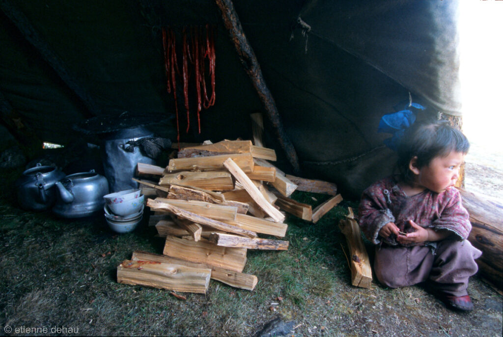 enfant nomade Tsaatan vivant sous une urt, et  et regardant le troupeau de rennes de ses parents.