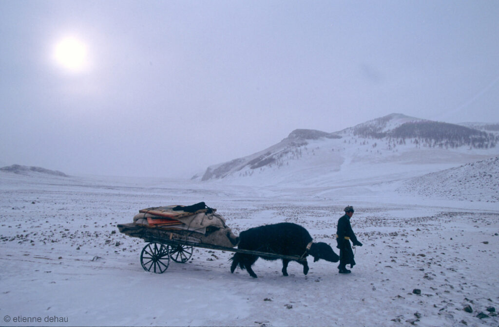 Les éleveurs nomades déplacent leurs yourtes plusieurs fois par an.