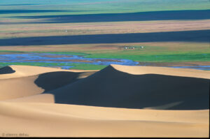 Les dunes De Khongoryn els sont bordées par des zones de pâture pour les troupeaux, que favorise la présence d'une  rivière.