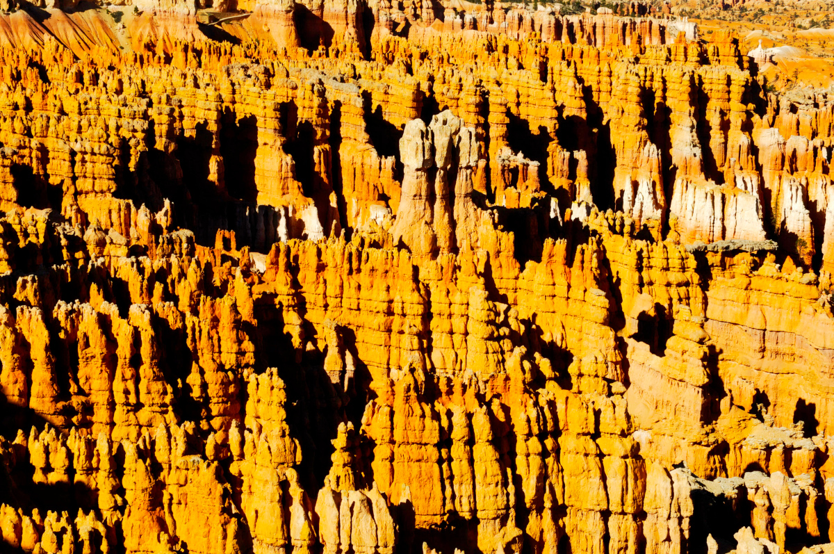 12desertb