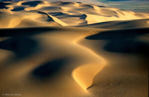 Les dunes de Khongoryn els dans le désert de Gobi au Sud de la Mongolie