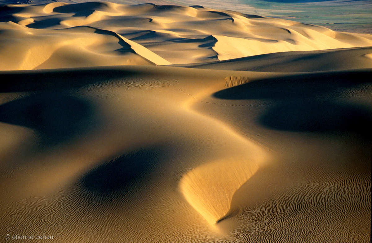 les dunes de Khongoryn els, dans le désert de Gobi.