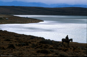 gaucho au bord du lac Argentino, au sud de l'Argentine. Il y a plusieurs estancias autour de ce lac.