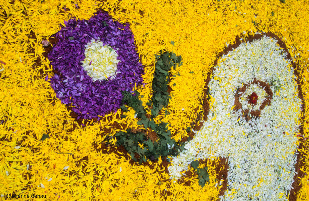 dessin formé avec des pétales de fleurs au cours d'une fête religieuse péruvienne