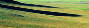 play of light on the Mongolian steppe