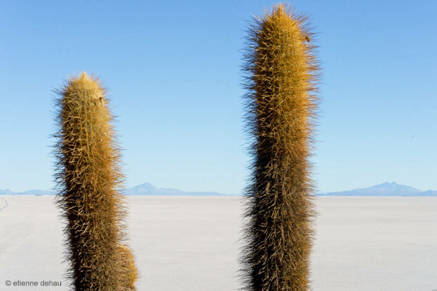 Photographie d'Art pour la décoration dans une maison ou un espace