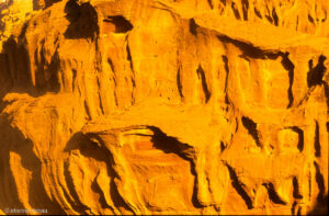 détail d'une paroi rocheuse dans le Wadi Rum en Jordanie