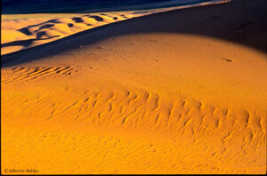 Jeu de lumières dans les dunes