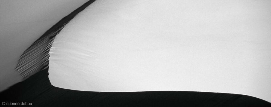 Photographie d'Art pour la décoration dans une maison ou un espace