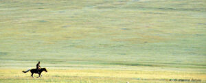 cavalier dans la steppe mongole