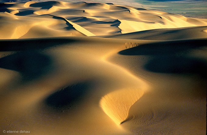les dunes de Khongoryn els, dans le désert de Gobi. ombres et lumières sur les dunes dans le désert de Gobi en Mongolie