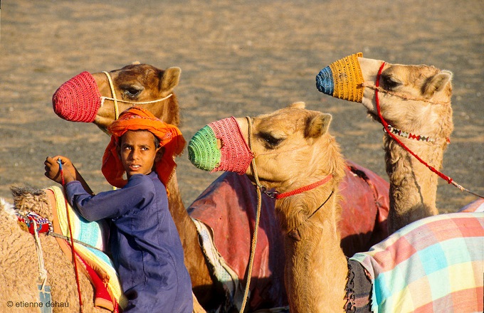 oman-camel-race young boy from the Sultanate of Oman preparing for a camel race