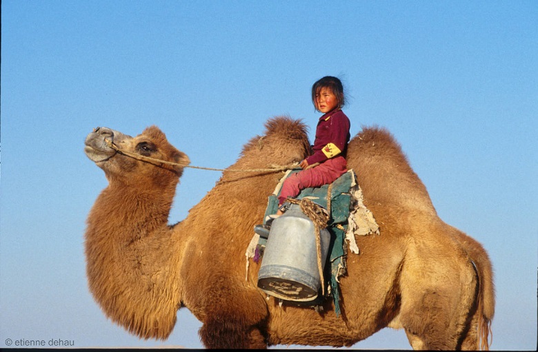 child-camel-mongolia This young nomadic girl and her camel search for water in the Gobi Desert in Mongolia