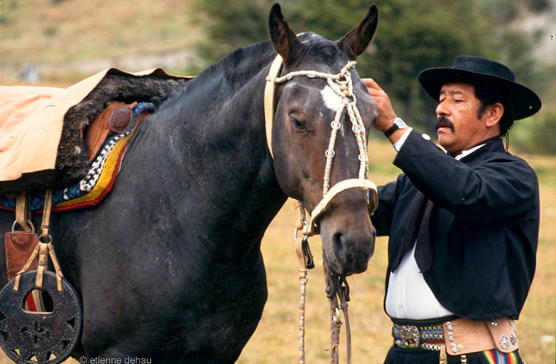 gaucho en train d'harnacher son cheval dans une estancia en Patagonie d'Argentine