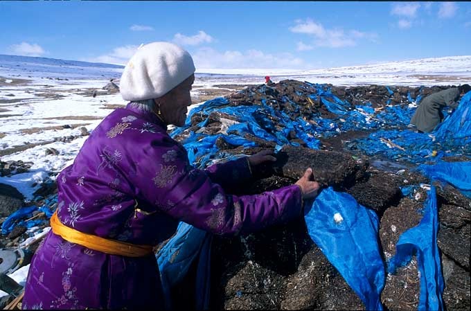 woman making a tea offering to the spirits on an oboo in central Mongolia