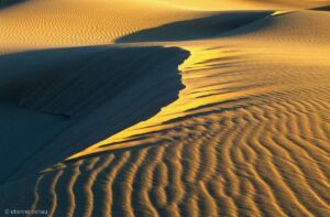 Jeu de lumières dans les dunes