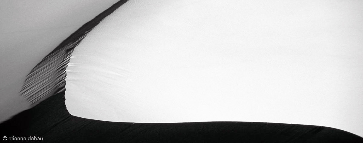 Photographie d'Art pour la décoration dans une maison ou un espace