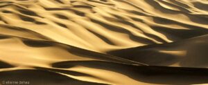 Jeu de lumières dans les dunes